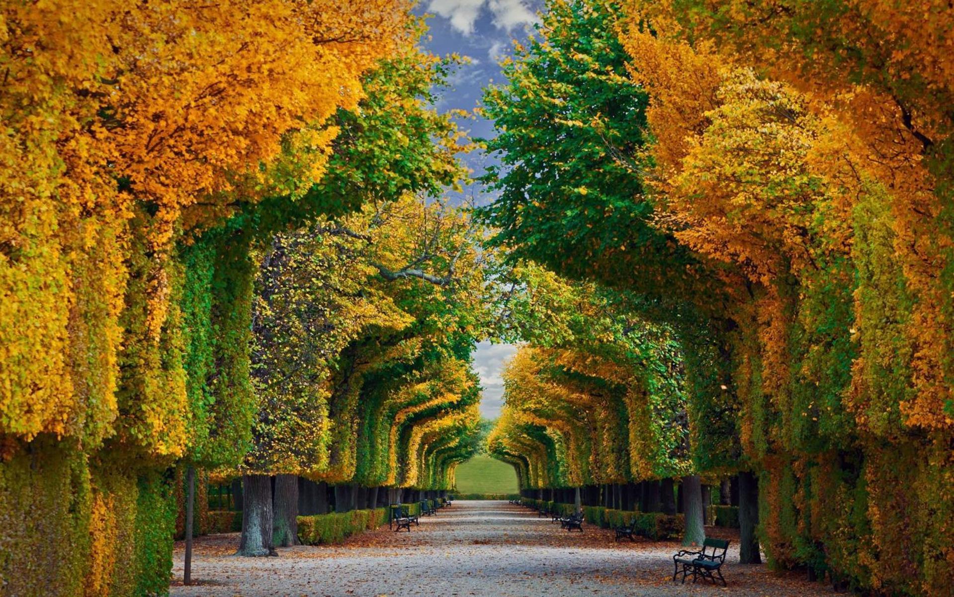 Imperial Schoenbrunn Stays ウィーン エクステリア 写真